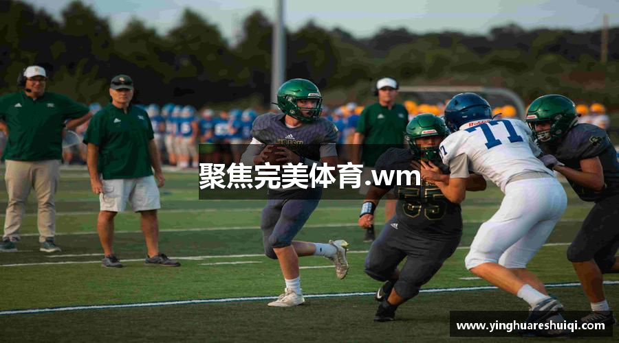 聚焦完美体育.wm